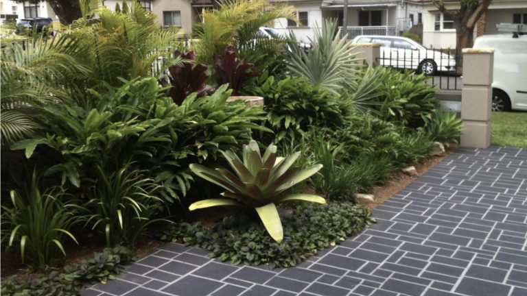garden designer fairview 6 768x432