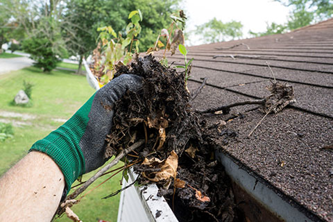 Gutter Cleaning