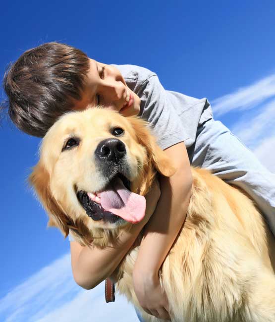 boy and dog 1