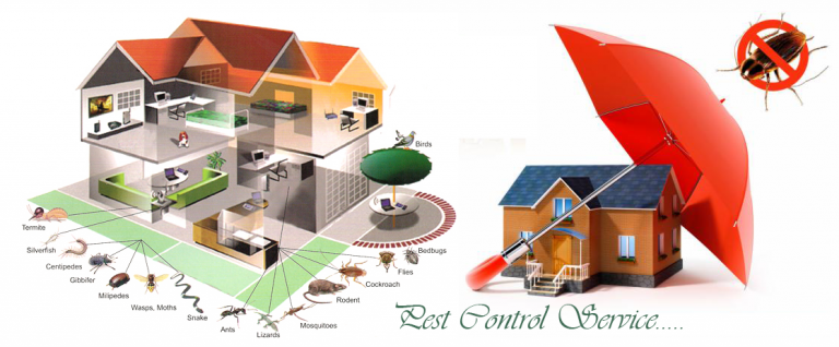 pest control 768x318