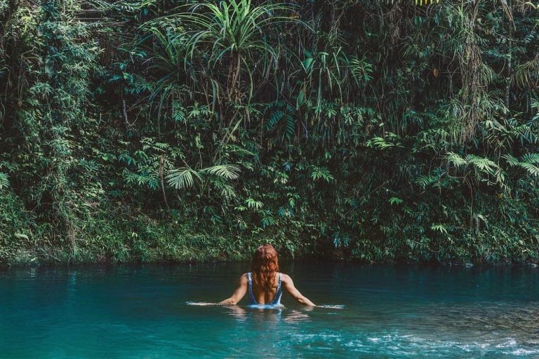 qld daintree mycolourfulworld 768x512