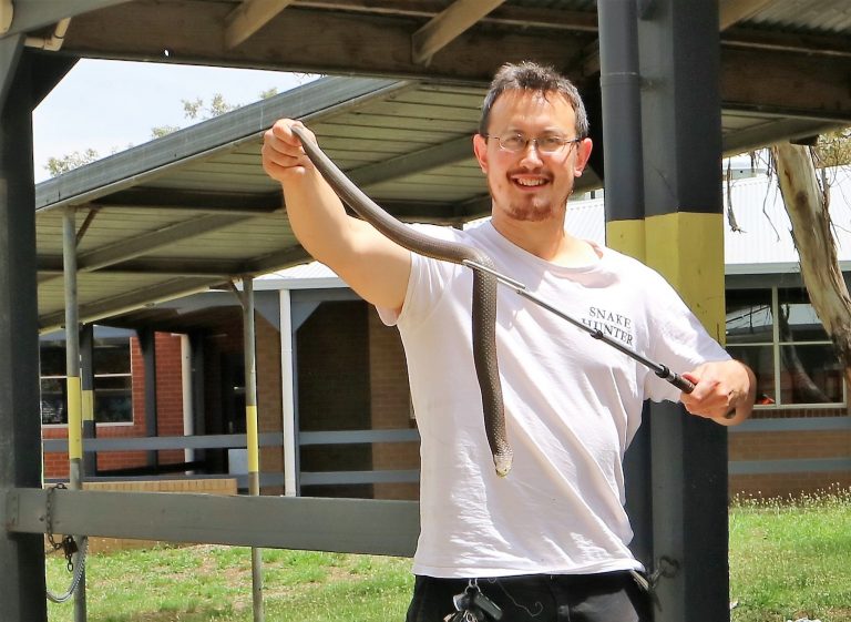 snake catcher melbourne 768x561