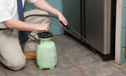 DP18 39474 InsectPestControl dt bnr 2 1 indoorpest