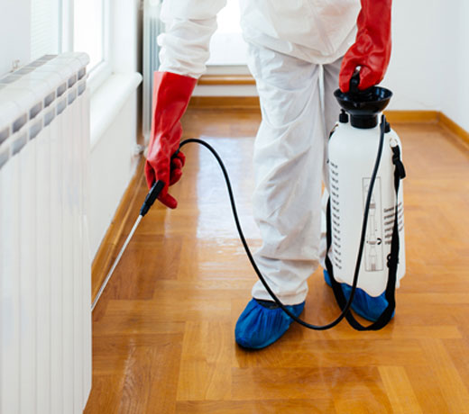 Pest Control Services