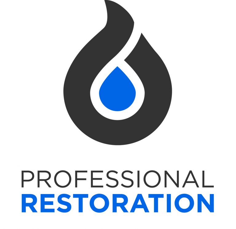 Professional Restoration Logo Stacked CMYK 768x746
