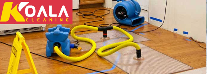 Same Day Fast Carpet Flood Water Damage Restoration Sydney