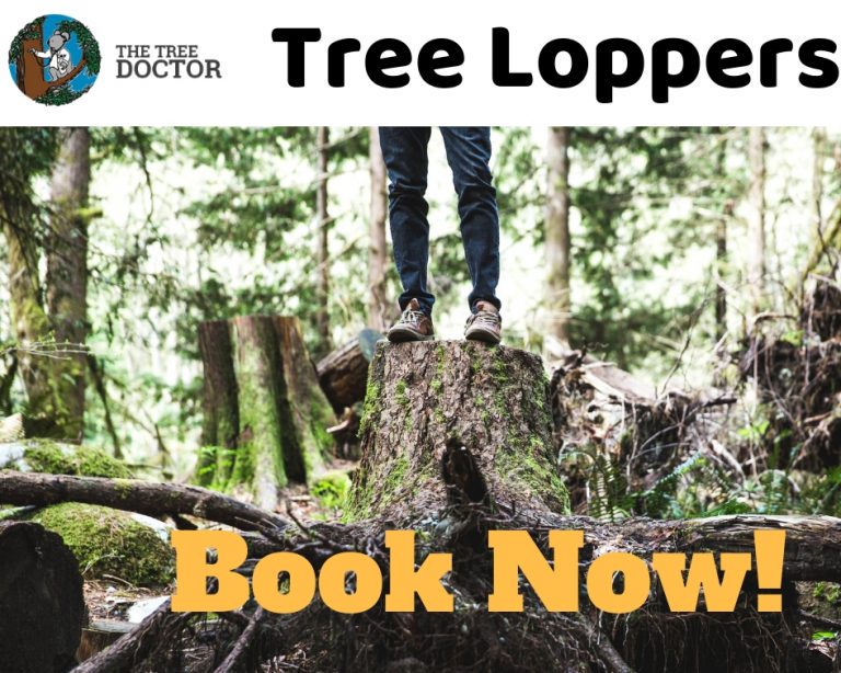 Tree Loppers1 768x614