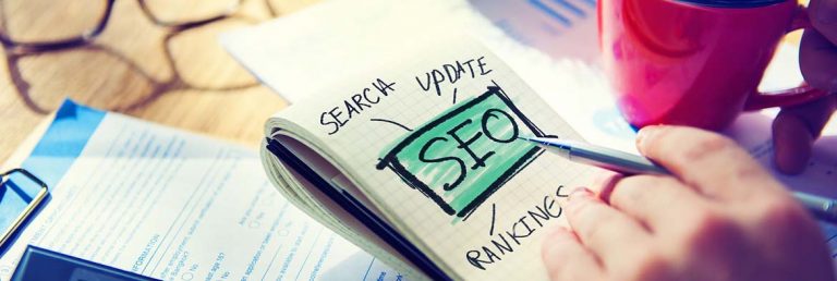 seo services gold coast 2 768x258