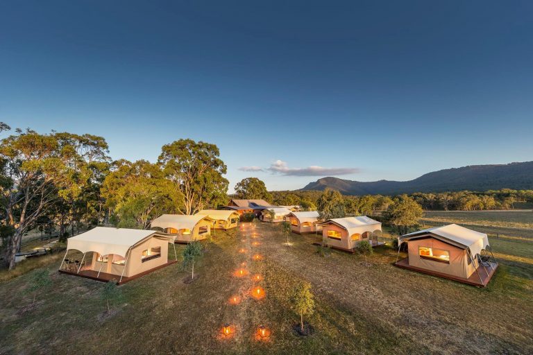 spicers at day 768x512