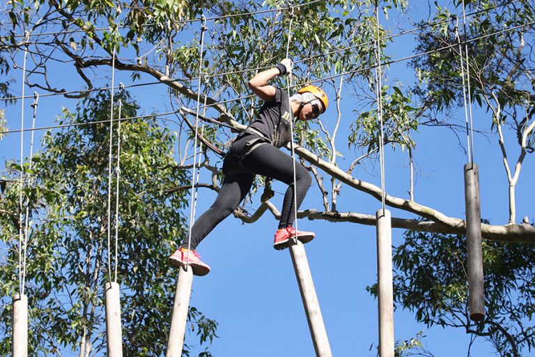 treetop adventure park 02 768x512