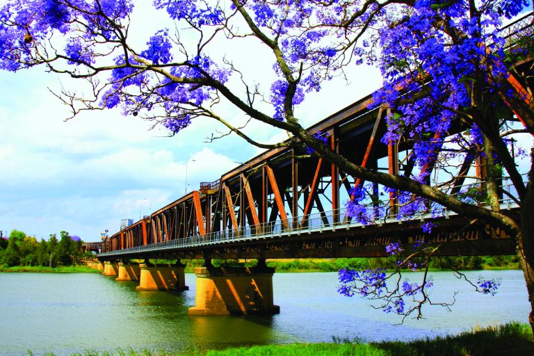 Bridge Pic 2 2 Copy 768x512