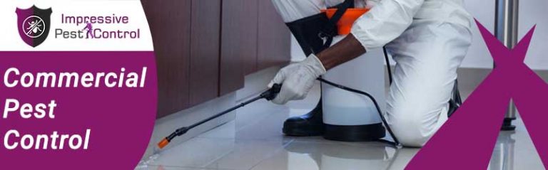Commercial Pest Control Melbourne 1 768x239