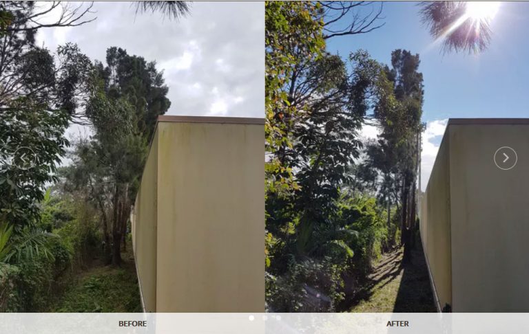 Gold Coast Tree Lopping 768x486