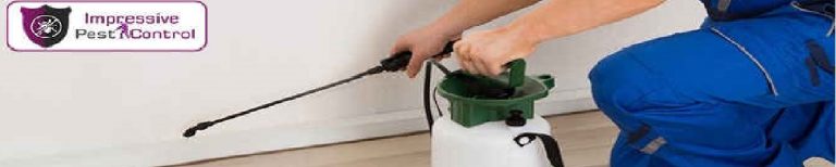 Professional Pest Control Service Brisbane 4 768x154