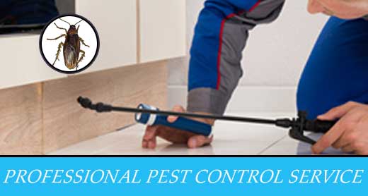 Professional Pest Control Service
