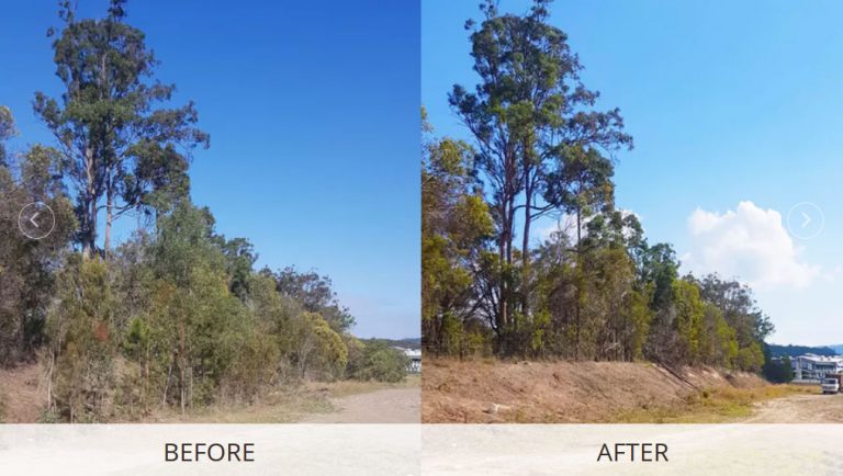 Regrowth Clearing 768x434