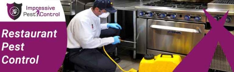 Restaurant Pest Control Melbourne 1 768x239