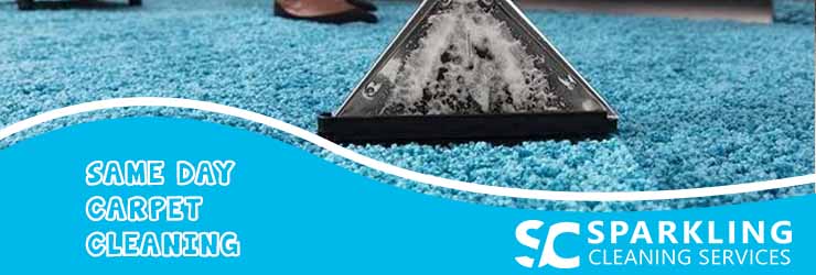 Same Day Carpet Cleaning 2