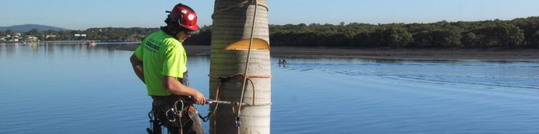 gold coast palm tree removal 1200x300 768x192