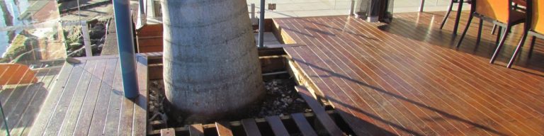 gold coast stump removal 1200x300 768x192