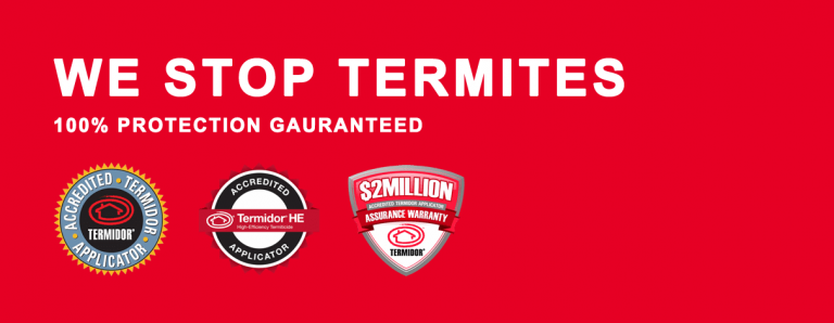 termite inspection banner.fw  768x298