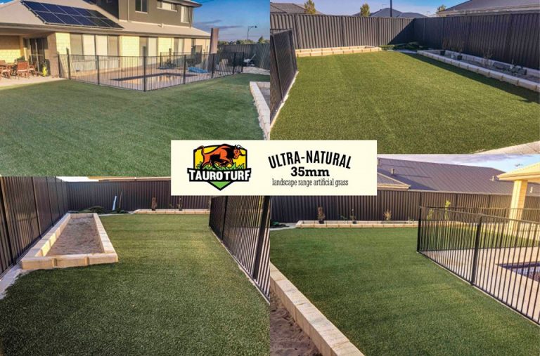 Backyards 768x507