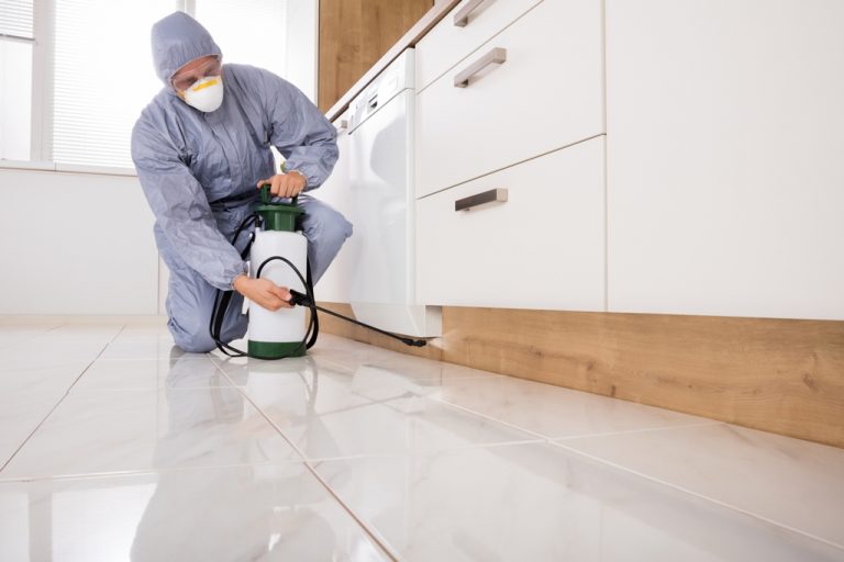 Pest Services 768x512