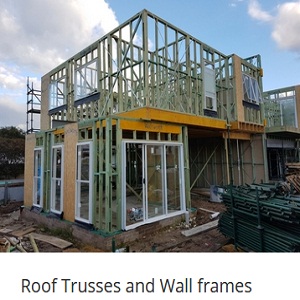Roof Trusses and Wall frames