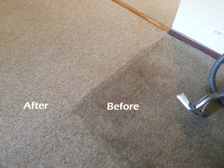 Tim Carpet Cleaning Sydney Before After 768x576