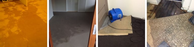 Water Damage Carpet Cleaning 768x187