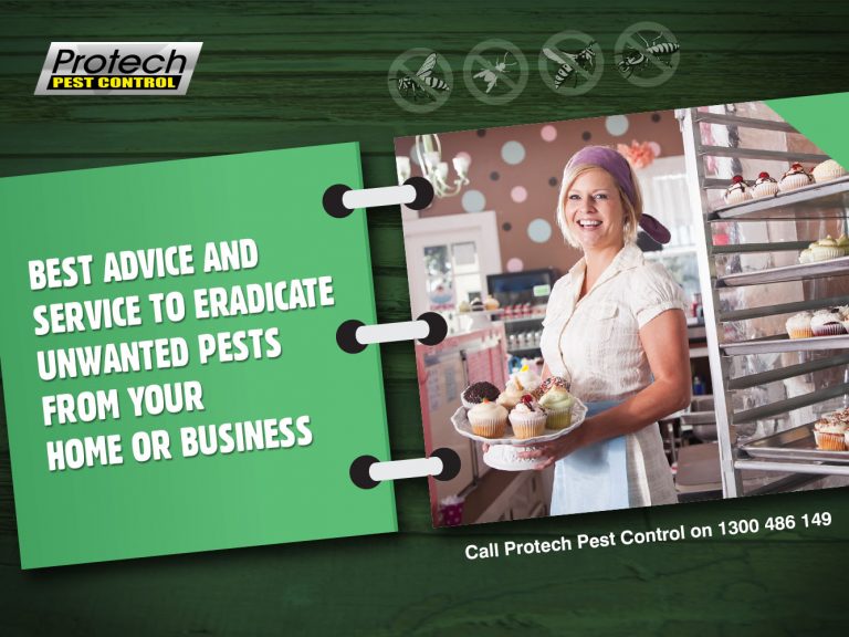 home or business pest control 768x576