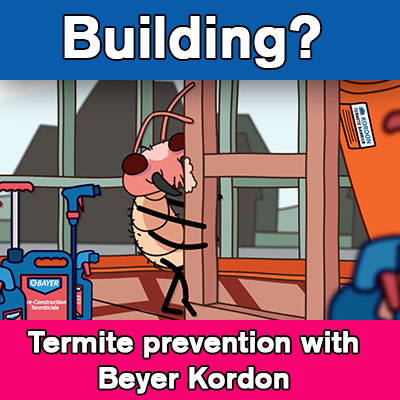 termite prevention sydney