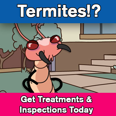 termite treatment sydney