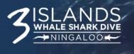 3islandswhalesharkdive