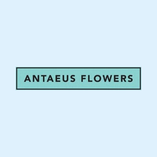 Antaeus Flowers Logo