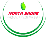 LogoNorthshore