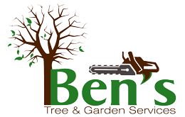 logo 1 5