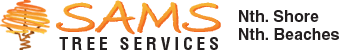 logo 30