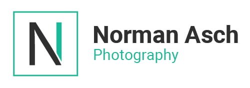 logo norman