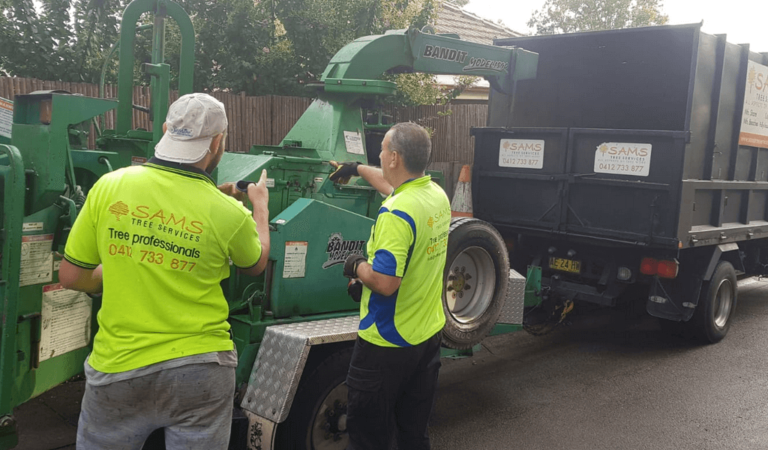 samstreeservices 8 768x450