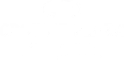 Crownesp logo