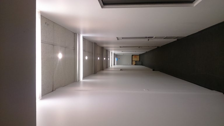 DSC 0789 768x432