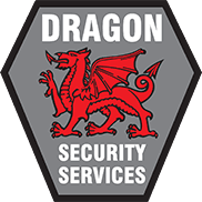 Dragon Security Services Logo