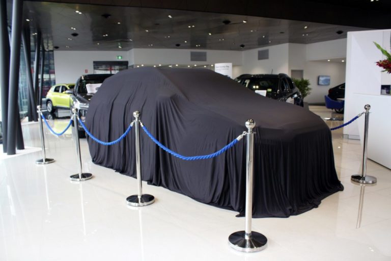 car cover 2 768x512
