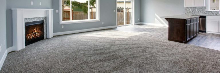 carpet cleaning phoenix az 1 1 1024x343 1 768x257