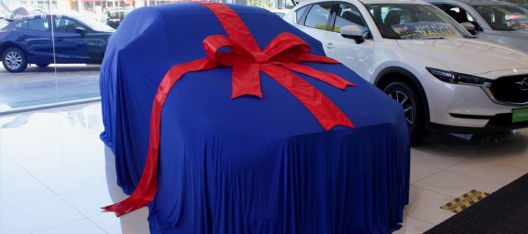 cover and bow 2 768x341