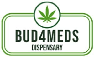 logo 37
