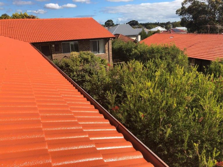 roof painting perth 768x576