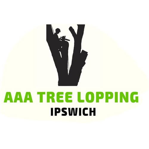 AAA Tree Lopping Ipswich Lo