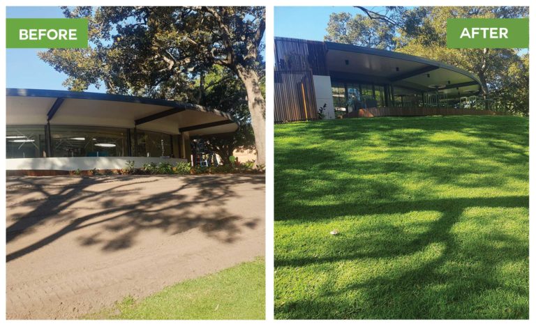 Before after 1 768x468